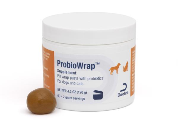 ProbioWrap: Pill Wrap Paste with Probiotics for Dogs & Cats