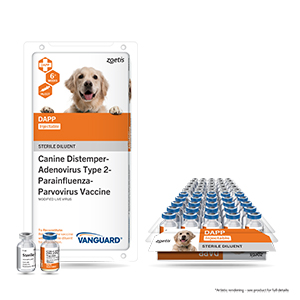 Vanguard DAPP Vaccine for Dogs